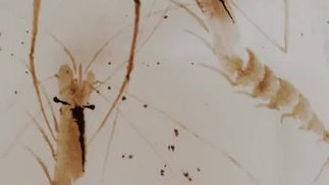 #剪出电影感 #美丽的舜间 这是我的绘画作品。请大家欣赏。