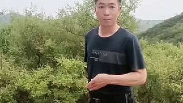 #每天一笑烦恼忘掉