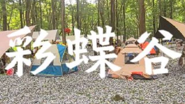 彩蝶谷露营基地只需门票就给提供桌椅和天幕#哈尔滨露营地推荐 #旅行推荐官 #哈尔滨 #露营 #森林氧