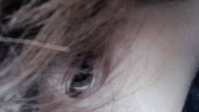 “你就是我找到的one piece”