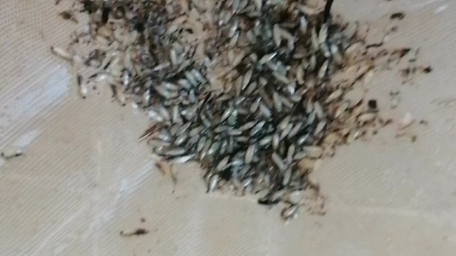 我发布了一个新视频，快来围观吧！