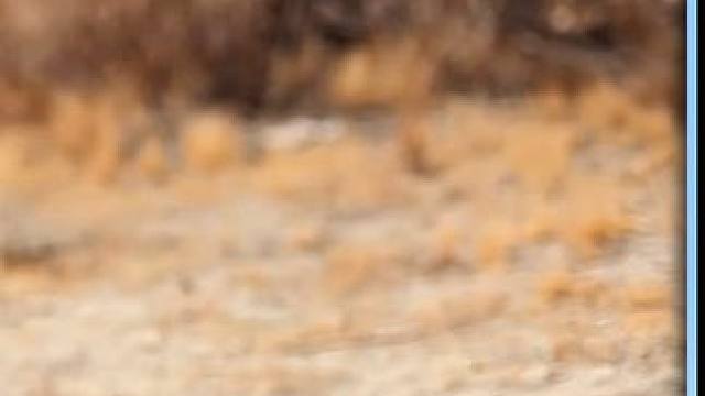 这条轮胎的奇幻之旅，不仅见证奇遇，还成为悬疑故事的关键 #电影解说