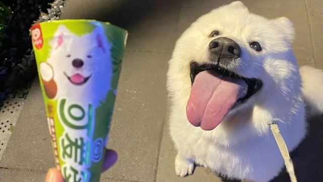 我问小狗遇到心事怎么办
小狗说:忘忘忘！