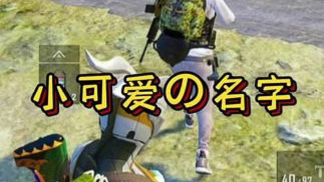 小可爱的名字！ #和平精英地铁逃生#在和平精英过梦幻夏日