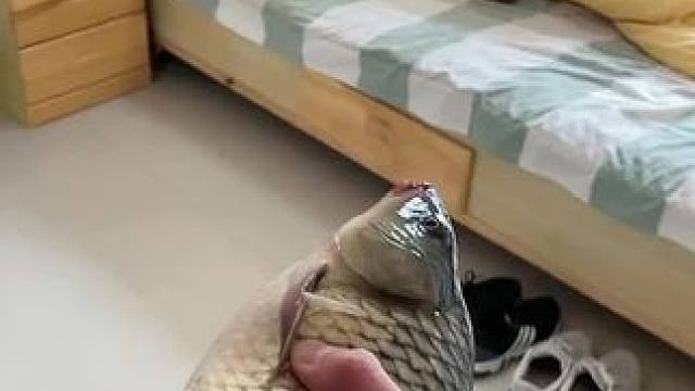 我发布了一个新视频，快来围观吧！