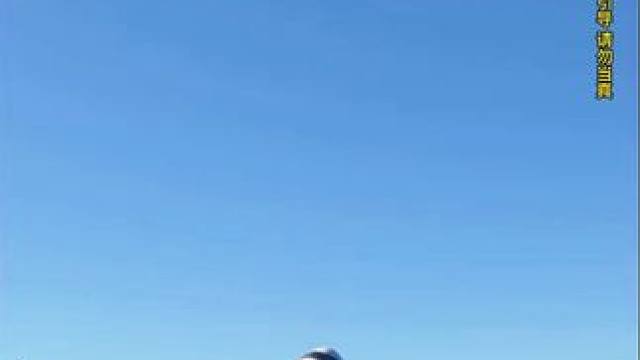 模拟器：一架飞机一直沿着高架桥低空飞行#飞机