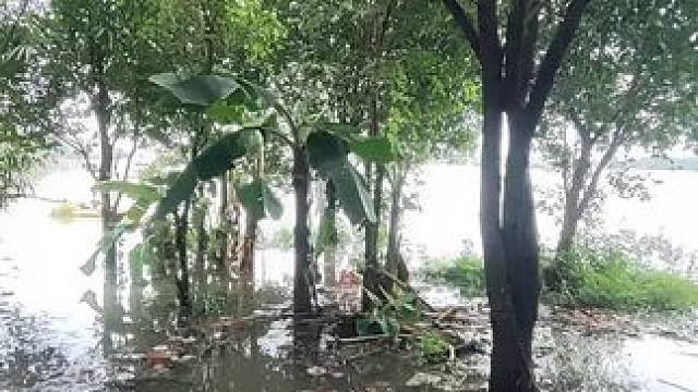 钓位被淹了 钓位被淹了