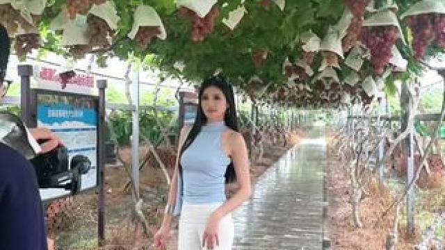 葡萄熟了#新鲜采摘 #田园生活 #腿长一米八