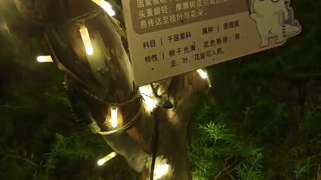 这是世界上的独特之处