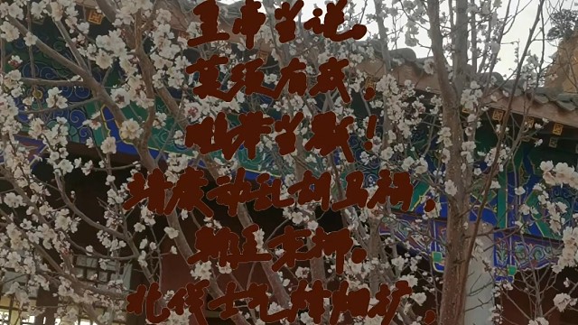 （ 双  调 ）
十棒鼓“秦桧:鹏举当诛”
           □ 雪  莹