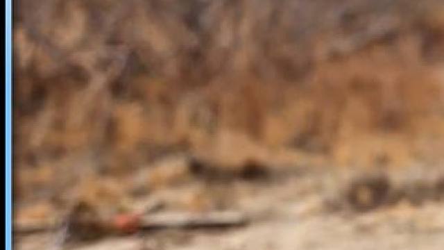 这条轮胎的奇幻旅程：从单纯到传奇 #电影解说