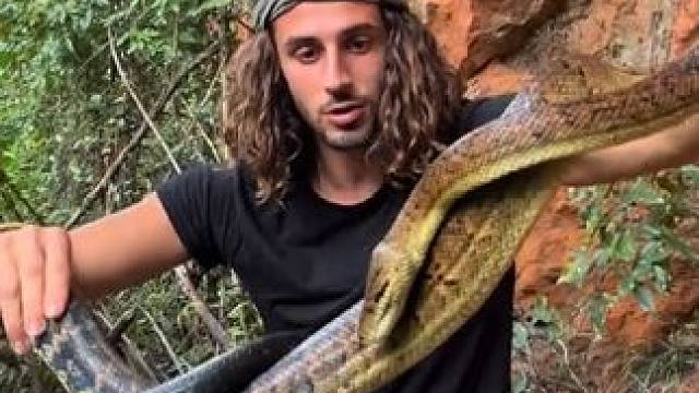 #国外视频分享 #野生动物零距离 #蛇