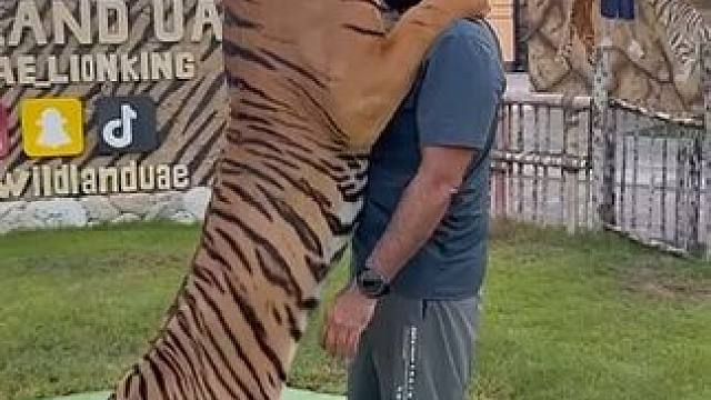 老虎喝奶 #国外视频分享 #奇妙的动物 #宠物