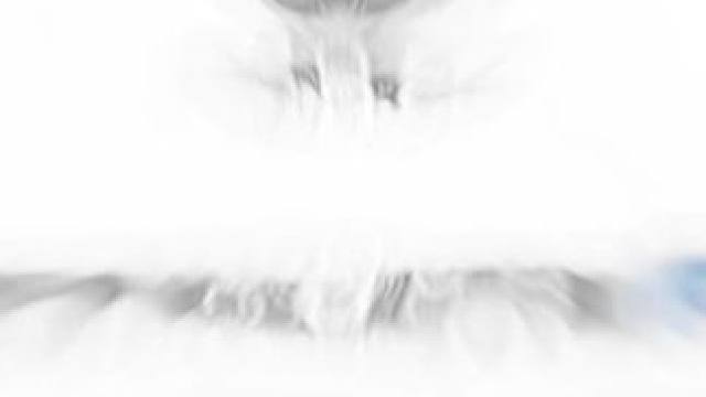 坏了，高端局 #战双 #战双帕弥什