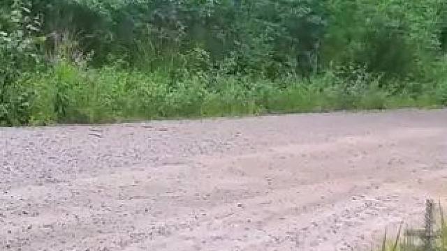 引擎轰鸣，车轮紧贴尘埃，40秒带你走进热血沸腾的拉力赛场，领略内燃机的极致魅力#wrc拉力赛