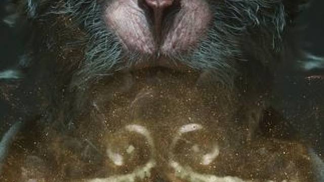 天命第一难！我才是大圣！！！ #黑神话悟空 #黑神话悟空定档 #steam游戏 #破防就在一瞬间 #