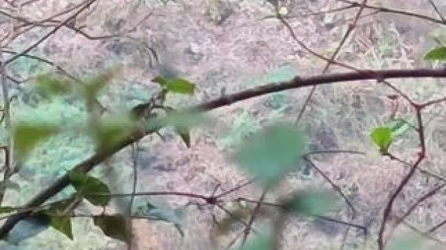 三百米悬崖中部，为何会出现人为防御工事？这里曾经发生过什么？#极限运动 #户外 #悬崖峭壁