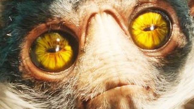 奇妙的外星生物，不仅长了六只爪子，还能随意伸缩 #科幻 #影视解说 #纪录片