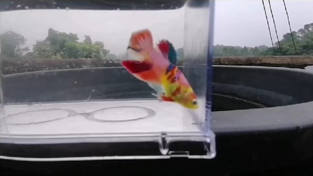 我发布了一个新视频，快来围观吧！