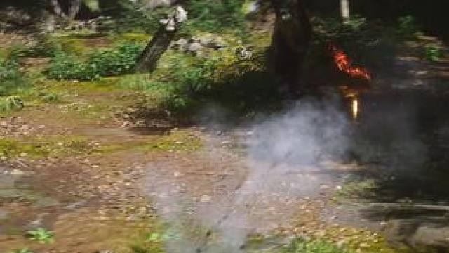 不会玩类魂得我 萌新每次都是丝血极限反杀哈哈