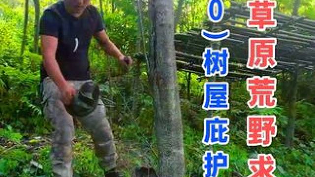 采集猕猴桃，搭建庇护所，大王蛇钻洞 云中草原荒野求生（10）树屋庇护所 #野外生存 #户外露营 #荒