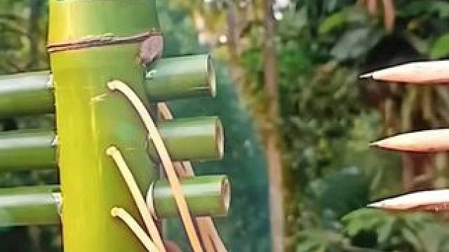 冷兵器时代#是时候展现真正的技术了 #在玩一种很新的户外 #该动作存在危险性请勿轻易模仿 #中华冷兵