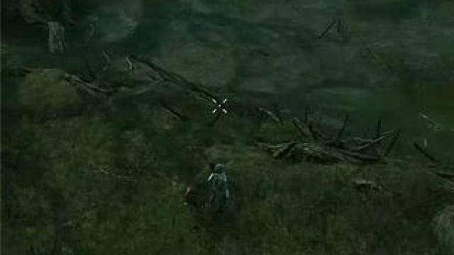 王权与自由新大陆主线领取方法 #王权与自由亚服