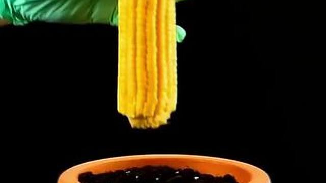 #学会快去试试吧 #关注我每天分享生活小妙招 #这里有你不知道的生活小窍门 #小妙招大作用 #实用小