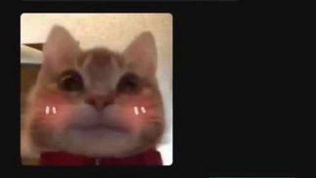 #换个角度看世界 #随手一拍都是美景 #我眼里的视界 #随走随拍   随拍