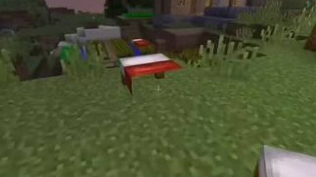 主页有我的世界手机版宝可梦 #我的世界