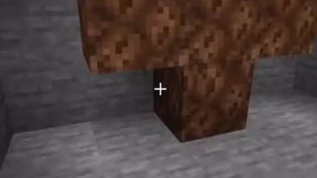 主页有我的世界手机版宝可梦 #我的世界