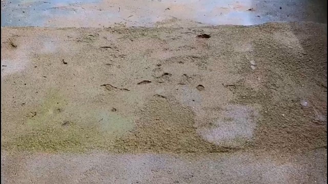 楼梯滚瓶子爆破解压时刻