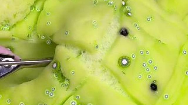 外国小姐姐沉浸式玩史莱姆 #解压 #助眠解压 #强迫症治愈系 #超级解压 #解压声控