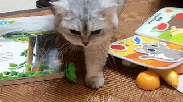 阿b一起床就出来找我们玩了 