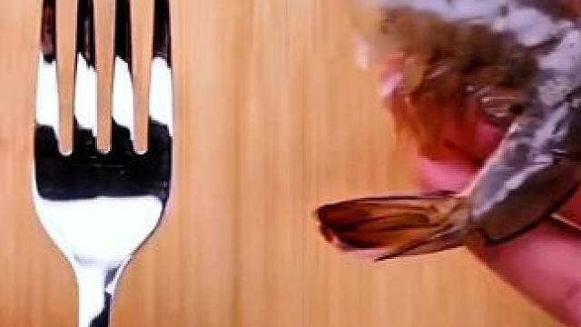 #生活小妙招 #生活小技巧 #生活好帮手 #生活小常识 #生活小知识