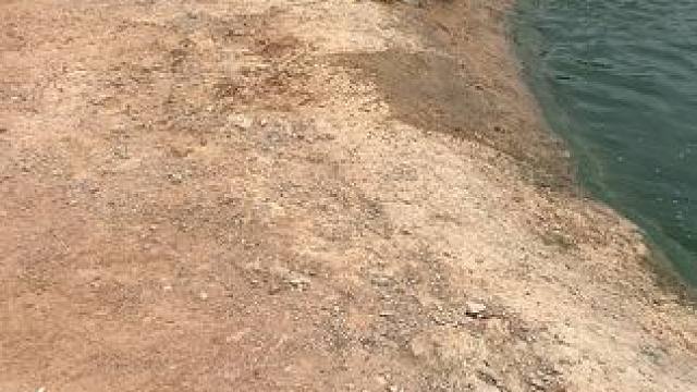 看到我来了，一个个都醒目的跑了，慢一点都要被打#危险动作请勿模仿