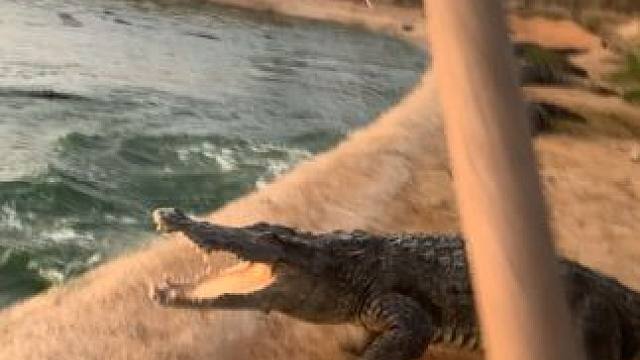 每天跑两圈锻炼锻炼，精神状态都不一样#危险动作请勿模仿