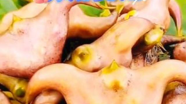 2024年湖北洪湖菱角来了
#优质农产品 #我为家乡农产品代言 #味道好极了你们想吃吗 #大自然的馈