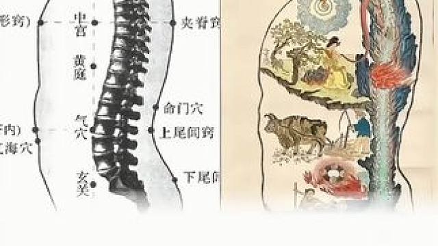 形意本是长寿拳 #形意拳 #长寿 #气功 #养生