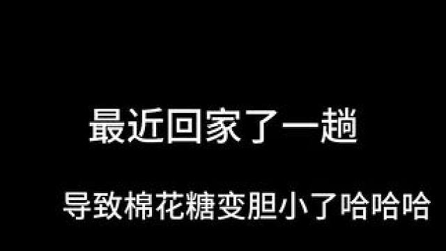 好不容易回家一趟就被欺负了 #萌宠出道计划 #萌宠日常记录 #狗狗 #阿拉斯加 #抖in萌宠计划