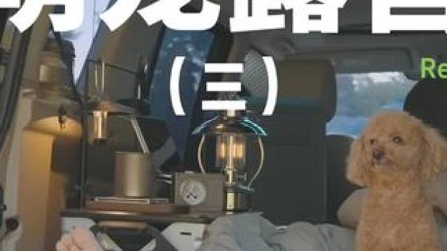 萌宠露营（三）#露营 #萌宠 #助眠 #户外露营 #解压