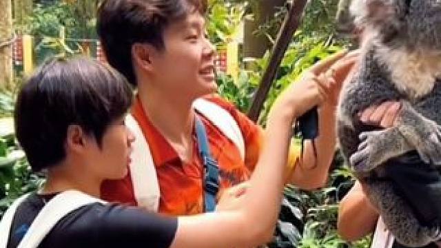 世界跳水冠军全红婵，第一次逛动物园，感觉太兴奋了 #全红婵 #全红婵逛动物园 #长隆动物园