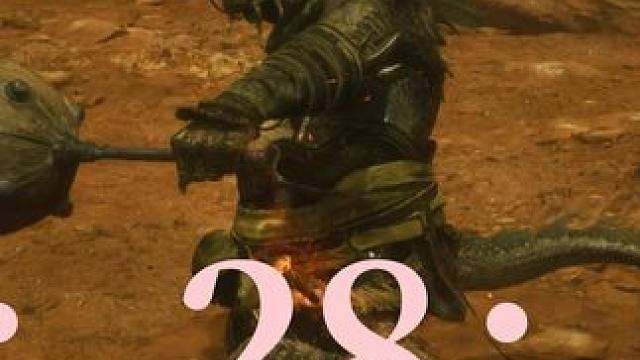 萌新操虫棍小骊龙无规则2分28秒