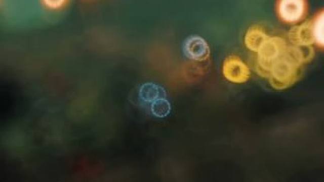 灾祸军团长的副本美学 #命运方舟 #命运方舟新军团长 #寻找命运方舟最有才的你 #命运方舟副本美学