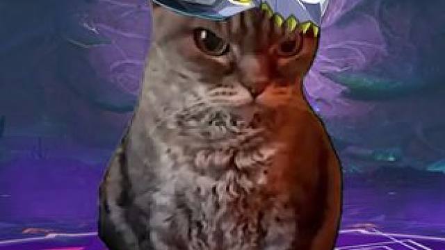 速通禁忌之心！（猫meme版） #晶核coa #上晶核即刻暴打 #taptap发现好游戏 #猫mem