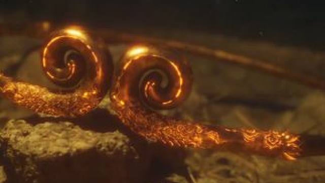 黑神话悟空第六章大结局 #黑神话悟空 #黑神话悟空结局到底是什么 #黑神话 #黑悟空 #孙悟空