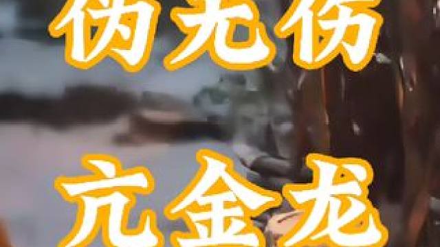 黑神话：悟空，伪无伤boss亢金龙(能否为为刷子类游戏主播证明？)#黑神话悟空 #黑神话悟空实机演示