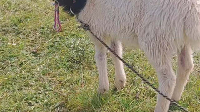 如果决意去做一件事了，就不要再问别人值不值得。心甘情愿才能理所当然，理所当然才会义无反顾。时间在走，