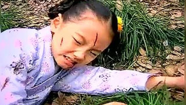 下载《西瓜视频》，免费观看精彩后续/精彩海量免费短剧免费看slqu24 #因为一个片段看了整部剧
