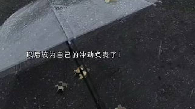 叶子伤心了… #台风眼 #配音 #推文 #声优都是怪物 #虐心片段